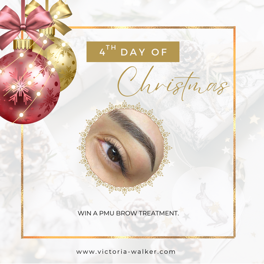 4th Day of Christmas - PMU Brows