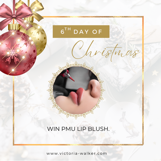 6th Day of Christmas - PMU Lip Blush